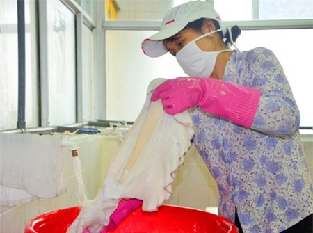 Mực được xử lý kỹ, rửa thật sạch...