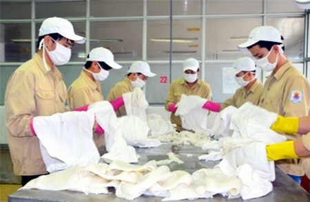 Sau khi chế biến mực được lau sạch.