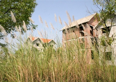 dự-án-bỏ-hoang, dự-án, bất-động-sản, tồn-kho-nhà-đất, nhà-đất-đóng-băng, quy-hoạch