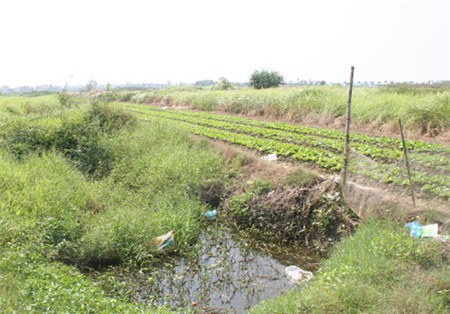 dự-án-bỏ-hoang, dự-án, bất-động-sản, tồn-kho-nhà-đất, nhà-đất-đóng-băng, quy-hoạch