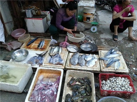 Nhập mô tả cho ảnh