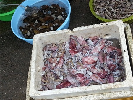 Nhập mô tả cho ảnh