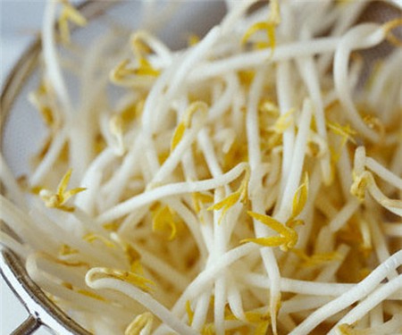 giá đỗ, giá-đỗ, thực-phẩm, chất kích thích, thuốc-kích-thích, an-toàn-thực-phẩm, người-tiêu-dùng, người tiêu dùng,