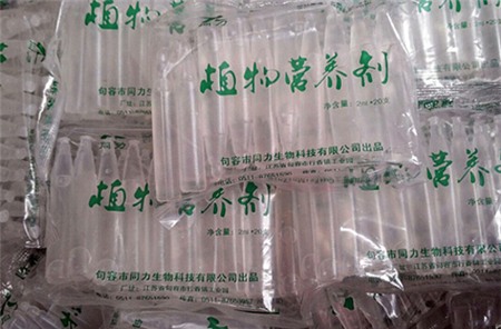 giá đỗ, giá-đỗ, thực-phẩm, chất kích thích, thuốc-kích-thích, an-toàn-thực-phẩm, người-tiêu-dùng, người tiêu dùng,