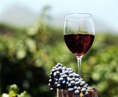 Muôn màu muôn vẻ với ẩm thực Hy Lạp 6