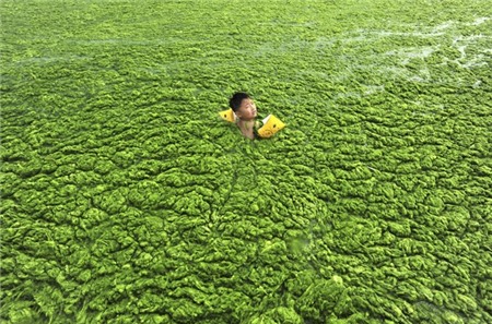 Những nguồn nước ô nhiễm khủng khiếp ở Trung Quốc