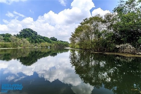 Say đắm cảnh đẹp mùa thu trên dòng suối Yến - 3