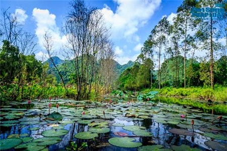 Say đắm cảnh đẹp mùa thu trên dòng suối Yến - 5