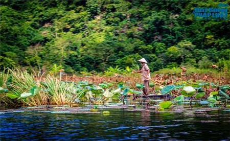 Say đắm cảnh đẹp mùa thu trên dòng suối Yến - 8