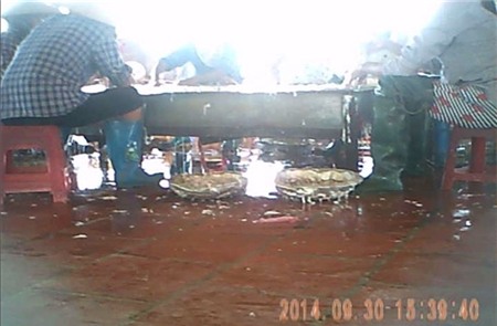 Nôn thốc trong lò luyện nội tạng lợn ở Bắc Ninh