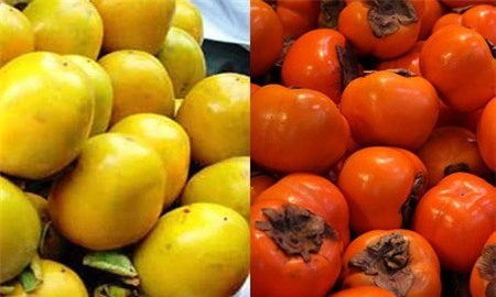 Không chỉ hồng giòn, hồng trứng của Đà Lạt cũng rơi vào tình cảnh tương tự, khi giá sản phẩm này cũng đứng ở mức hơn 6.000 đồng/kg, tại Đà Lạt chỉ ở mức 3.000 - 4.000 đồng/kg. Chị Ngọc Hường - trưởng ngành hàng trái cây chợ Bà Chiểu (quận Bình Thạnh, TP.HCM), cho biết thị trường có loại hồng chín xuất xứ Trung Quốc vỏ màu đỏ sẫm trông rất bắt mắt. Loại này có hình dáng dài, nhọn giống hồng trứng của Đà Lạt, nhưng hồng Đà Lạt vỏ vàng cam. Khi ăn sẽ thấy sự khác biệt: hồng Trung Quốc cũng ngọt nhưng bọng nước, không thơm, trong khi hồng chín Đà Lạt ăn ngọt, dẻo, thơm. Ảnh: Vietq.