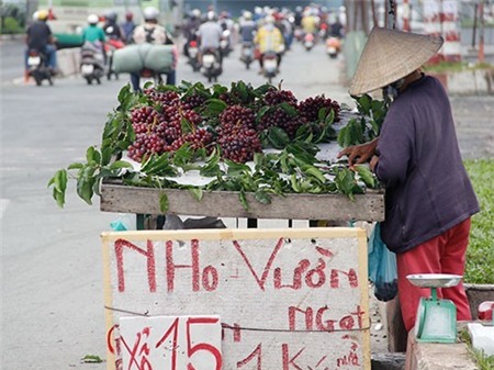 Thời điểm tháng 3 – 4 nho Trung Quốc nhập về các chợ đầu mối nhưng khi bán lẻ lại được quảng cáo là nho Ninh Thuận hay nho Mỹ với giá chỉ 20.000 - 30.000 đồng/kg, trong khi một số tiểu thương tại TP.HCM bày bán nho Ninh Thuận chính gốc, giá 50.000 – 70.000 đồng/kg thì nhiều người tưởng là nho Trung Quốc nên tỏ ra dè chừng, một số còn mặc cả xuống chưa bằng giá gốc. Ảnh: Lao Động