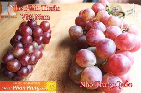 Theo một chủ vườn nho ở Ninh Thuận, Nho đỏ Ninh thuận hình cầu, trái to khoảng đầu ngón tay cái, vỏ nho rất mỏng, quả chín có màu đỏ tươi đến đỏ đậm, có vị ngọt hài hoà với vị chua nhẹ. Chùm nho thon dài, cân nặng từ 150 – 350 g/chùm, các trái nho khít gần nhau trên cùng 1 chùm, ít rời rạc. Nho đỏ Trung Quốc trái to gấp đôi nho Ninh Thuận, quả chín có màu đỏ nhạt, có lốm đốm trắng trên vỏ, vị ngọt gắt. Các trái nho trên cùng 1 chùm rời rạc nhau, 1 chùm nho cân nặng khoảng 500 – 700 g/chùm. Ảnh: Tri Thức Trẻ.