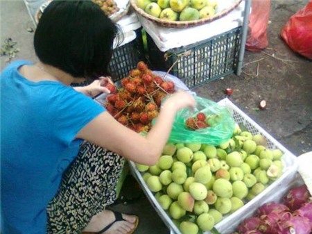 Giữa tháng 6, đào Sa Pa đầu mùa bán giá 30.000 - 40.000 đồng/kg, tuy nhiên, chỉ chưa đầy 10 ngày sau, hàng Trung Quốc đội lốt hàng Sa Pa tràn về Hà Nội bán với giá rẻ bất ngờ, chỉ 15.000 – 20.000 đồng/kg khiến nhiều tiểu thương buôn đào Việt chính gốc ê chề. Ảnh: Vietq.