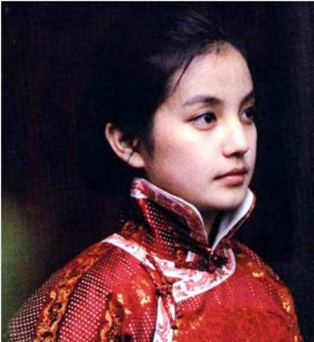 Năm 1993, nữ đạo diễn Huỳnh Thục Cần đến tỉnh An Huy quay ngoại cảnh cho bộ phim Họa hồn do Củng Lợi đóng vai chính. Cần một vài diễn viên quần chúng, bà vào trường Sư phạm Vu Hồ và cô sinh viên Triệu Vy là một trong số những người được chọn. Mặc dù chỉ là nhân vật người hầu không một câu thoại nào nhưng chính cơ hội này giúp Triệu Vy tìm thấy con đường của mình.