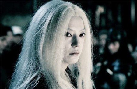 Nổi tiếng đình đám ở lĩnh vực phim truyền hình nhưng Triệu Vy vẫn chưa thể làm nên chuyện khi bước sang màn ảnh rộng, từng bị gọi là “độc dược phòng vé” vì những tác phẩm điện ảnh do cô đảm nhận vai chính như Tình nhân kết, Thiên địa anh hùng, Chế tạo bạn gái, Trà xanh… không đạt doanh thu như ý. Mãi đến năm 2008, vận may mới mỉm cười với Triệu Vy, thành công của bộ phim Họa bì mở ra những ngày rực rỡ cho mỹ nhân sinh năm 1976.