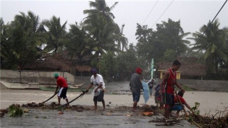 Philippines: đã có ít nhất 21 người chết do bão Hagupit