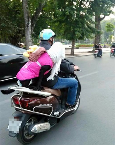 thú-cưng, chó, mèo, hàng-hiệu, sành-điệu, nhà-giàu, nhập-ngoại