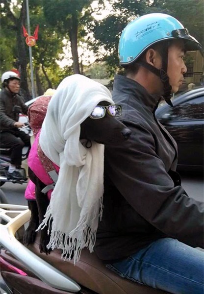 thú-cưng, chó, mèo, hàng-hiệu, sành-điệu, nhà-giàu, nhập-ngoại