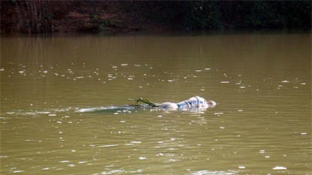 Ảnh mang tính minh họa