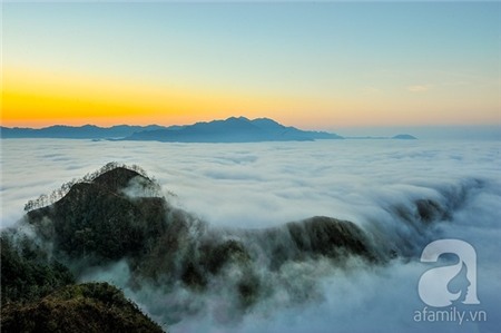 Đầu năm lên Ý Tý 