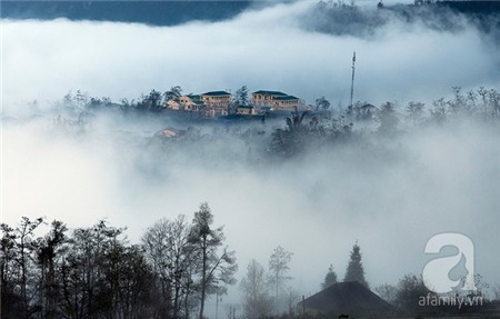 Đầu năm lên Ý Tý 