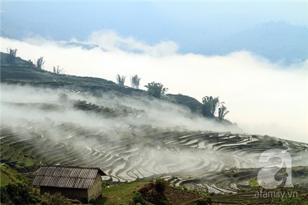 Đầu năm lên Ý Tý 