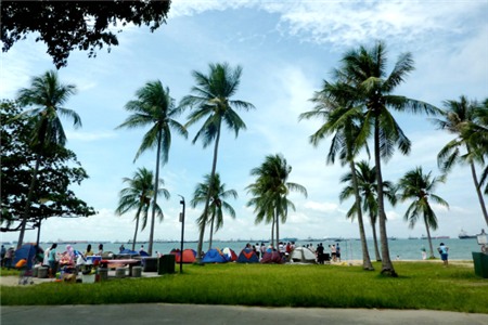 10 điểm tham quan miễn phí tuyệt nhất Singapore 10