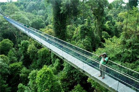 10 điểm tham quan miễn phí tuyệt nhất Singapore 3