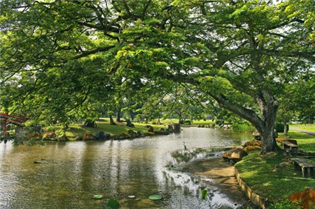 10 điểm tham quan miễn phí tuyệt nhất Singapore 7