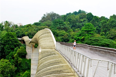 10 điểm tham quan miễn phí tuyệt nhất Singapore 9