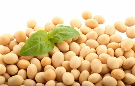 7 thực phẩm "chớ" ăn với thịt bò kẻo sinh bệnh