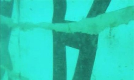 Vật thể được cho là phần đuôi.