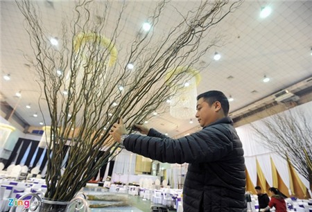 Trang trí tiệc cưới Tâm Tít hết nửa tỷ đồng