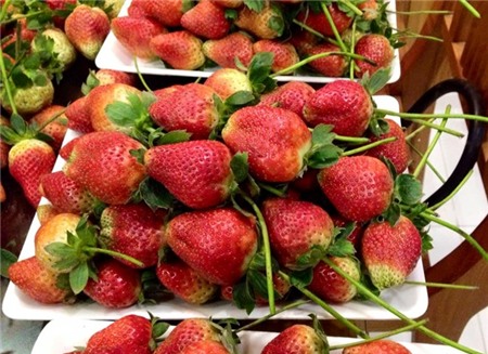 Vì sao giá 1 kg dâu tây Đà Lạt chênh nhau 300.000 đồng?