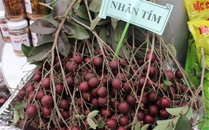 thanh-long, ổi-tím, ngô-kim-cương, xoài-đỏ-au, dưa-hấu, súp-lơ, cà-rốt, khoai-tây, su-hào