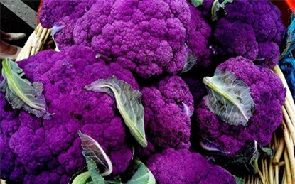 thanh-long, ổi-tím, ngô-kim-cương, xoài-đỏ-au, dưa-hấu, súp-lơ, cà-rốt, khoai-tây, su-hào