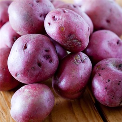 thanh-long, ổi-tím, ngô-kim-cương, xoài-đỏ-au, dưa-hấu, súp-lơ, cà-rốt, khoai-tây, su-hào