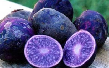 thanh-long, ổi-tím, ngô-kim-cương, xoài-đỏ-au, dưa-hấu, súp-lơ, cà-rốt, khoai-tây, su-hào