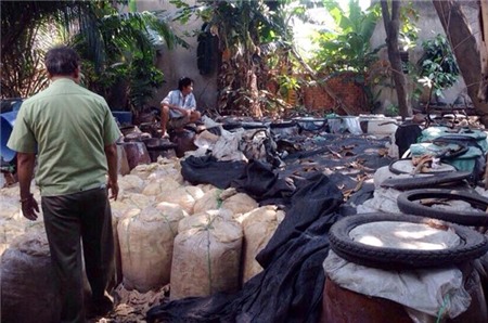 Ngày 16/1, Phòng 6 Cục Cảnh sát phòng, chống tội phạm về môi trường - Cơ quan phía Nam (C49B, Bộ Công an) và cơ quan Quản lý thị trường TP.HCM, đã ra quyết định đình chỉ hoạt động sản xuất, kinh doanh măng tươi đối với 3 cơ sở tại phường Tân Thới Nhất, quận 12, TP.HCM, để tiếp tục làm rõ hành vi