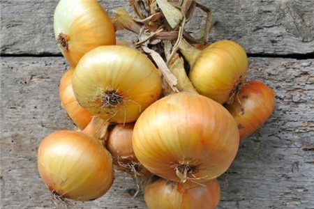 7. Hành tây: Các hợp chất lưu huỳnh trong hành tây có khả năng kháng khuẩn mạnh và phát huy công dụng mạnh nhất khi ăn hành tây tươi bóc vỏ. Thêm một vài lát hành tây mỗi ngày sẽ giúp bạn cải thiện được sức khỏe răng miệng đấy.