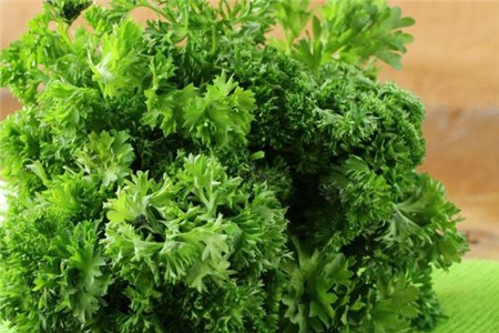 8. Rau mùi tây: Nhai mùi tây hoặc lá bạc hà sau mỗi bữa ăn cay sẽ giúp bạn duy trì hơi thở thơm tho. Những loại thảo mộc này có chứa monoterpene, các hợp chất giúp bay mùi và làm trắng răng.