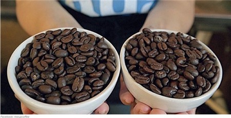 24 quán cà phê tuyệt ngon của xứ sở