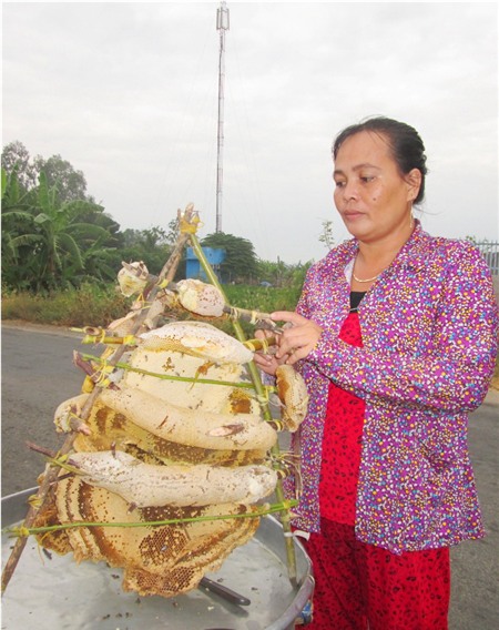 Hàng ngày chị Nén bán từ 4 -5 lít mật
