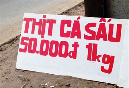 cá-sấu