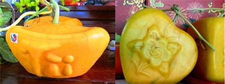 Những cây quả độc mùa Tết có tiền triệu không mua nổi