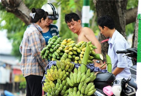 Chuối ở miền Tây được chở lên bán ở TP HCM