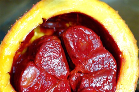 Cách nấu xôi gấc đỏ tươi đón năm mới - 2