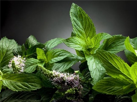 10 thực phẩm giúp bạn giảm đau tức thì trong mọi trường hợp