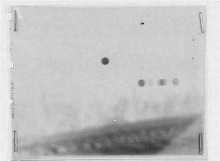 UFO, đĩa bay, Mỹ, kỳ lạ nhất, bí ẩn